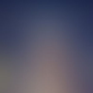 Meet your Posher, Evan